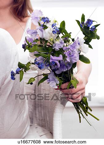 woman holding a bouquet of vetches and forget-me-nots View Large Photo Image Stock Photo - woman holding a bouquet of vetches and forget-me-nots. Fotosearch