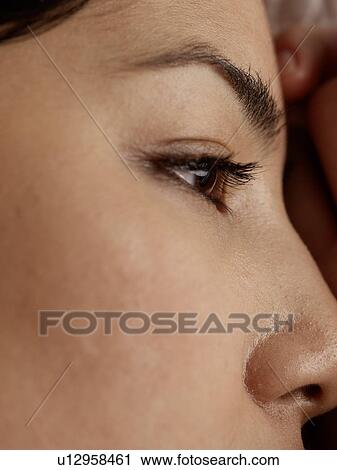 Woman's eye and nose View Large Photo Image Stock Image - Woman's eye and nose. Fotosearch