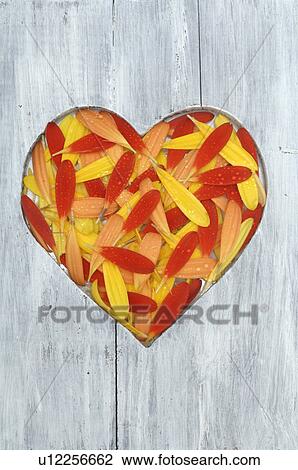 Stock Image - Wooden plank with heart of blossoms. Fotosearch