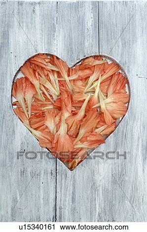Stock Image - Wooden plank with heart of blossoms. Fotosearch