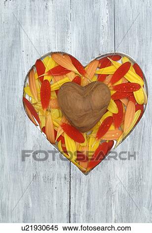 Wooden plank with heart of blossoms View Large Photo Image Stock Photography - Wooden plank with heart of blossoms. Fotosearch