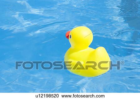 Yellow rubber duck View Large Photo Image Stock Image - Yellow rubber duck. Fotosearch