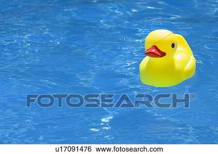 Stock Photograph - Yellow rubber duck. Fotosearch