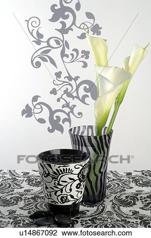 Zantedeschia View Large Photo Image Stock Image - Zantedeschia. Fotosearch