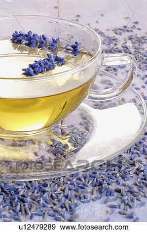 Stock Photo - A cup of lavender tea. Fotosearch