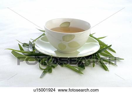 Picture - A cup of tea on green gras. Fotosearch