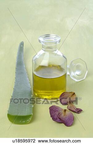 Stock Image - Aloe, rose petals, oil and stone. Fotosearch