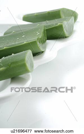 Aloe vera View Large Photo Image Stock Photo - Aloe vera. Fotosearch