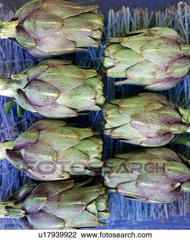 Artichokes View Large Photo Image Stock Image - Artichokes. Fotosearch