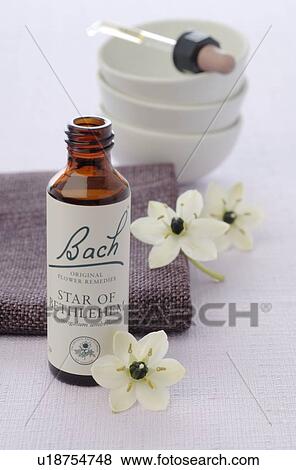 Stock Photo - Bach flower remedy with Star of Bethlehem. Fotosearch
