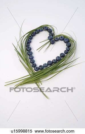 Bilberry View Large Photo Image Stock Photography - Bilberry. Fotosearch