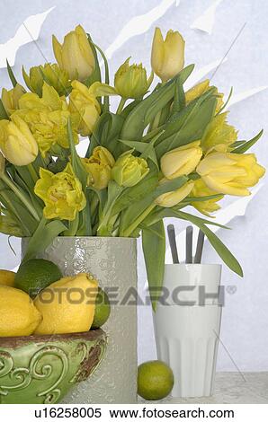 Bouquet of yellow tulips and a bowl of citrus fruits View Large Photo Image Stock Photography - Bouquet of yellow tulips and a bowl of citrus fruits. Fotosearch