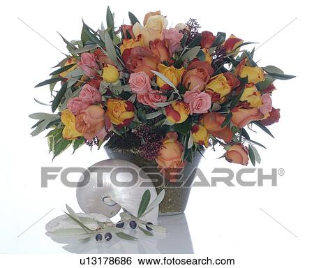 Bunch of flowers and mother of perl snail View Large Photo Image Stock Photograph - Bunch of flowers and mother of perl snail. Fotosearch