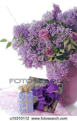 Stock Image - Bunch of lilac and gift boxes. Fotosearch