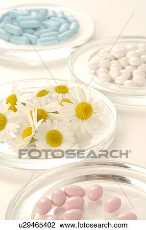 Camomile blossoms and pills View Large Photo Image Stock Image - Camomile blossoms and pills. Fotosearch