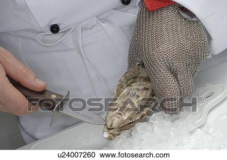 Stock Image - Cook opening an oyster. Fotosearch