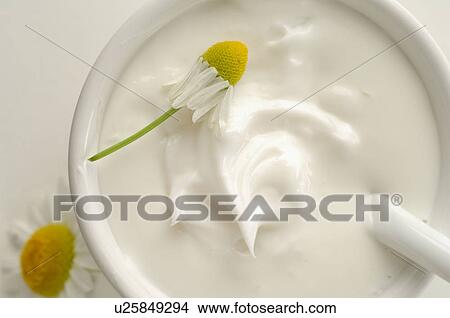 Cream with camomile View Large Photo Image Picture - Cream with camomile. Fotosearch
