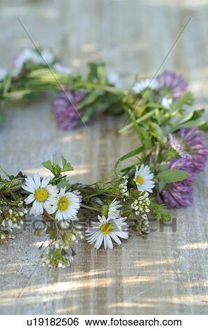 Stock Photograph - Daisychain. Fotosearch