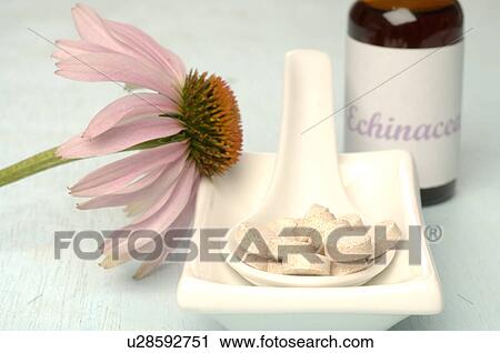 Stock Image - Echinacea blossom in a small bowl with pills in a spoon and drops. Fotosearch