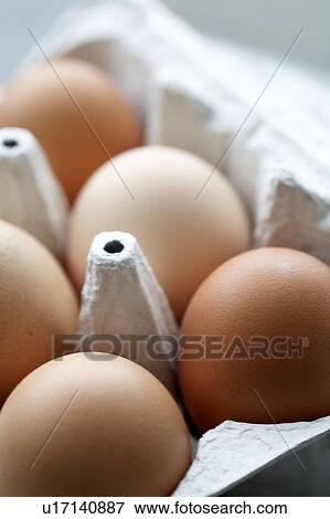 Egg carton View Large Photo Image Stock Photo - Egg carton. Fotosearch