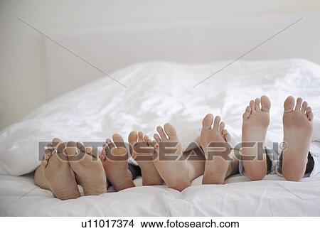 Picture - Four sisters laying in bed under cover and showing their feet. Fotosearch