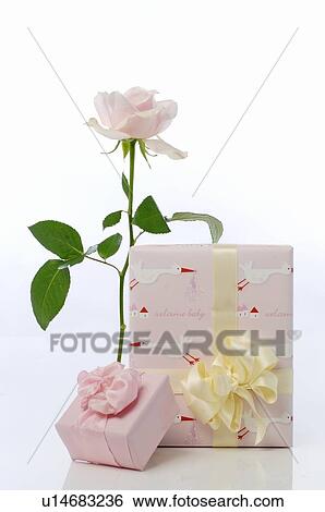 Stock Photograph - Gift boxes and a rose. Fotosearch