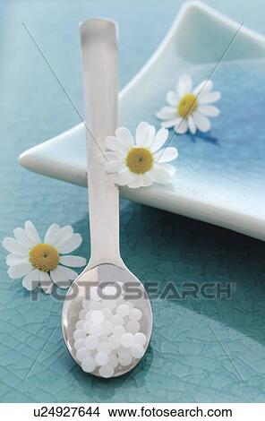 Picture - Globules and marguerites. Fotosearch