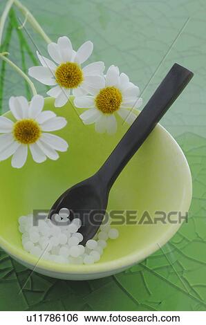 Globules and marguerites View Large Photo Image Stock Photograph - Globules and marguerites. Fotosearch