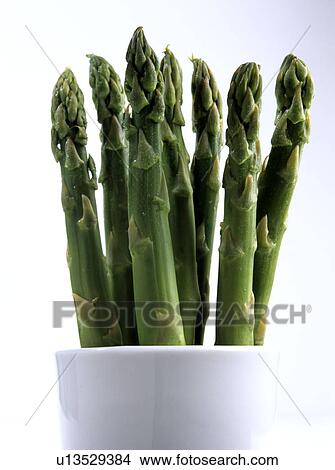 Green Asparagus (Asparagus officinalis) View Large Photo Image Picture - Green Asparagus (Asparagus officinalis). Fotosearch