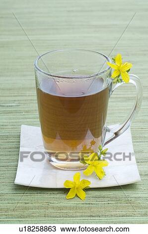 Hypericum tea View Large Photo Image Stock Image - Hypericum tea. Fotosearch