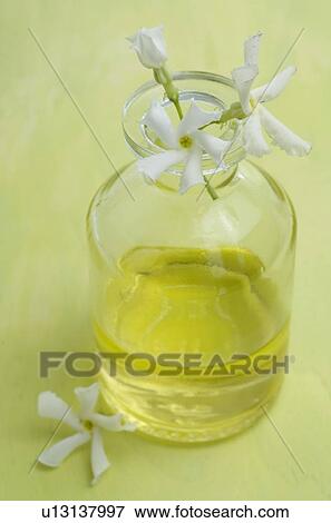 Stock Photo - Jasmine oil. Fotosearch