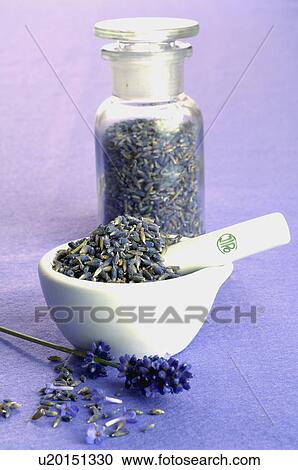 Stock Image - Lavender in a bottle and in a motar. Fotosearch