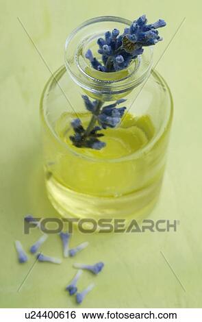 Lavender oil View Large Photo Image Stock Photograph - Lavender oil. Fotosearch