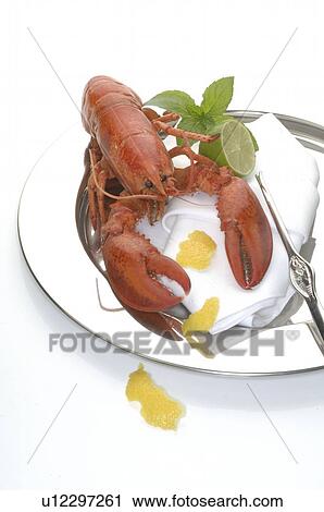 Stock Image - Lobster. Fotosearch