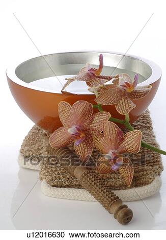 Massage utensils View Large Photo Image Stock Image - Massage utensils. Fotosearch