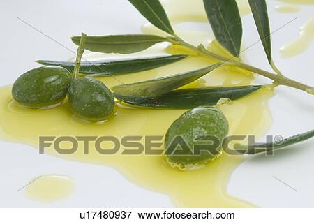 Stock Photo - Olives and olive oil. Fotosearch