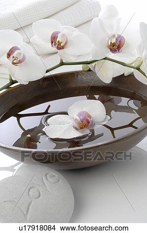 Picture - Orchid blossoms, soap and waterbowl. Fotosearch