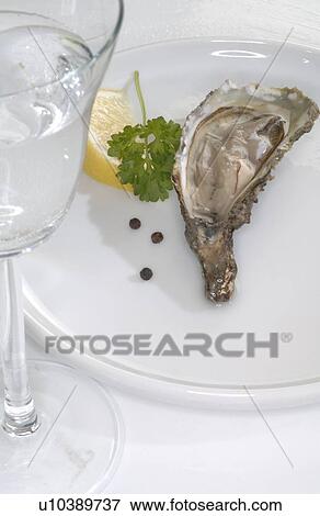 Stock Photo - Oyster on a plate. Fotosearch