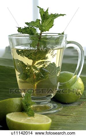 Picture - Peppermint tea. Fotosearch