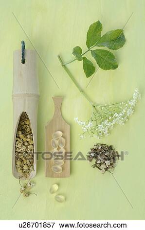 Phytotherapy View Large Photo Image Stock Photo - Phytotherapy. Fotosearch