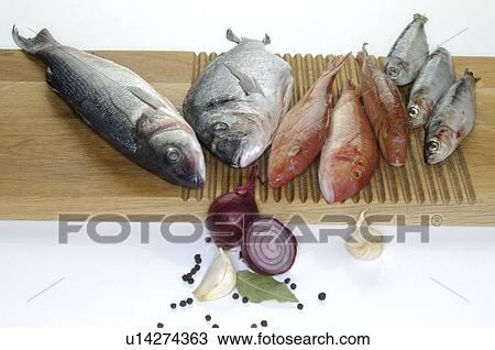 Preparing fish View Large Photo Image Stock Image - Preparing fish. Fotosearch
