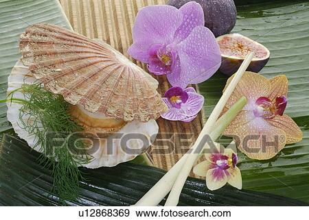 Stock Photo - Seafood and orchid blossoms. Fotosearch