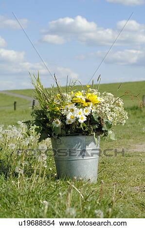 Summer flowers in a tin bucket View Large Photo Image Picture - Summer flowers in a tin bucket. Fotosearch