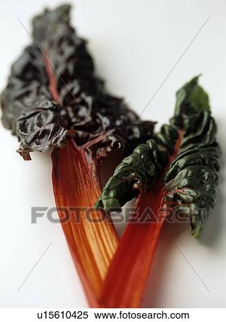 Stock Photography - Swiss chard (Beta vulgaris convar. cicla). Fotosearch