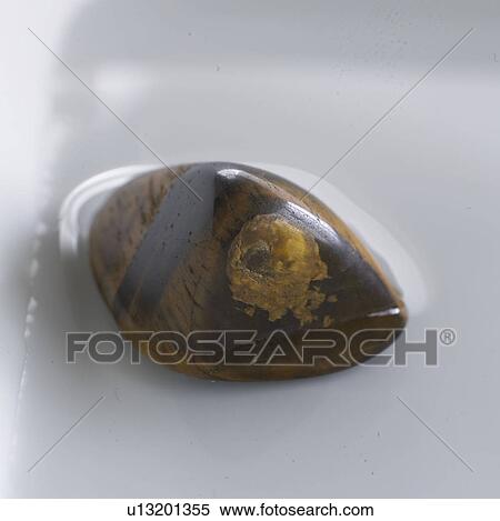 Tiger's-eye View Large Photo Image Stock Photography - Tiger's-eye. Fotosearch
