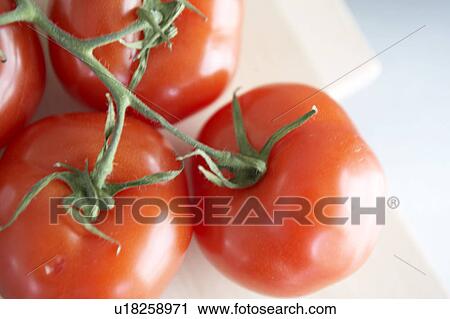 Tomatoes View Large Photo Image Stock Image - Tomatoes. Fotosearch
