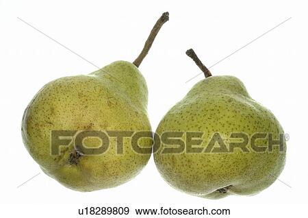 Stock Photo - Two pears. Fotosearch