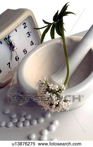 Valerian, pills and alarm clock View Large Photo Image Stock Photography - Valerian, pills and alarm clock. Fotosearch