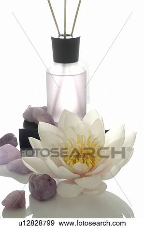 Stock Photo - Water lilies. Fotosearch