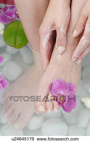 Woman taking footbath View Large Photo Image Stock Photo - Woman taking footbath. Fotosearch
